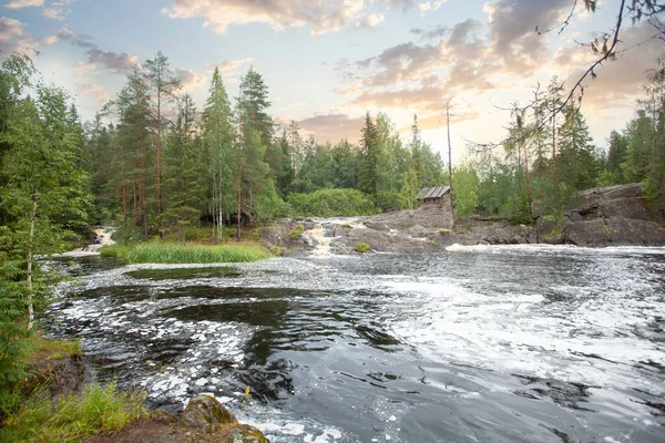 stock image Landscape of sunrise, forest and mountain river