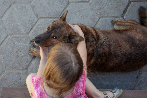 子供女の子でピンクのドレスペットブラウン犬 — ストック写真