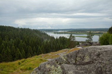Bulutlu gökyüzü, yeşil orman ve dağ nehri