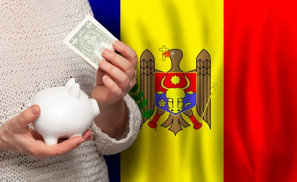 Mujer Moldava Con Banco Dinero Fondo Bandera Moldavia Dotaciones Fondo —  Fotos de Stock