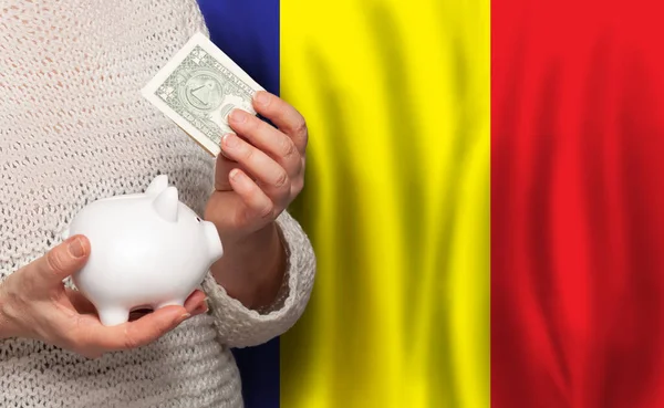 ルーマニアの国旗を背景にお金の銀行を持つルーマニアの女性 年金基金 退職の概念 — ストック写真