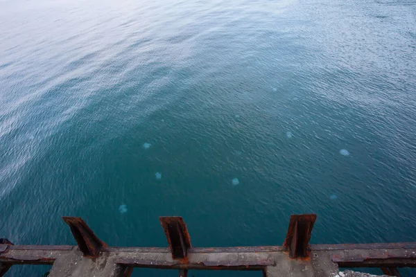 蓝海中的水母 从上方看 — 图库照片