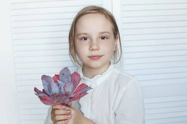Симпатична Дівчинка Тримає Соковиту Квіткову Розетку Студійний Портрет — стокове фото