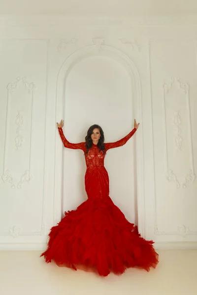 Retrato Una Hermosa Joven Morena Vestido Rojo Marsala Sobre Fondo — Foto de Stock
