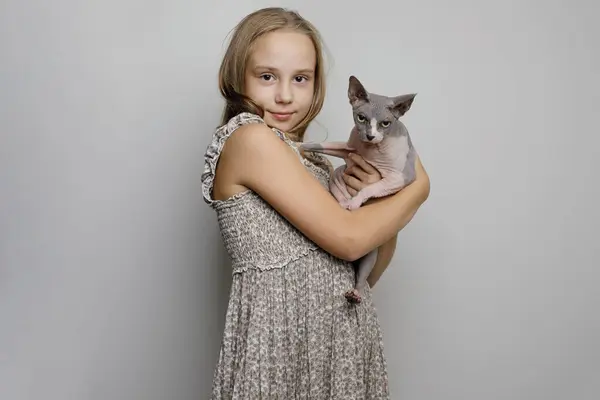 Pretty child girl hugging cat pet on gray studio wall banner background