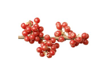 Fresh Buffaloberry or Shepherdia berries isolated on white background clipart