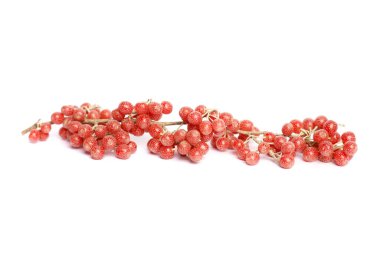 Red Buffaloberry or Soapberry on white background clipart
