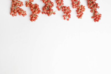 Red berries border on white background. Buffaloberry or Shepherdia clipart