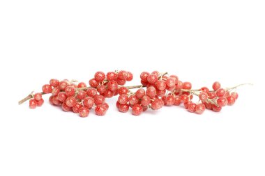 Berries of Shepherdia canadensis on white background clipart