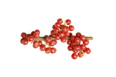 Bright North America Buffaloberry Shepherdia canadensis, healthy food on white background clipart