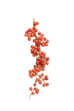 North America Buffaloberry or Shepherdia berries on white background clipart