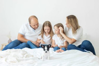 Yatağın üzerinde sevimli bir köpek yavrusu