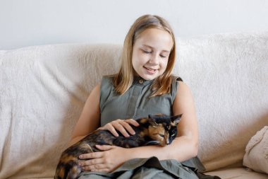 Neşeli genç kız kedi evcil hayvanını kucaklıyor rahat koltukta oturuyor, evde dinleniyor. Çocuk ve evcil kedi evde. Aşk, bağlılık ve ev hayatı kavramı.