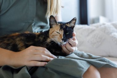 Ev sahibiyle çekilen mutlu kedi portresi.