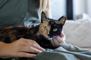 Ev sahibiyle birlikte pofuduk kedi portresi..