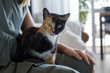 Ev sahibi ile ilginç kedi portresi.