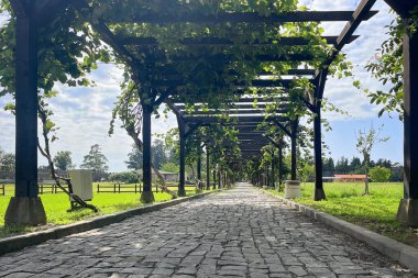 Kırsalda yeşil yapraklı kaldırımlı yol ve pergola.