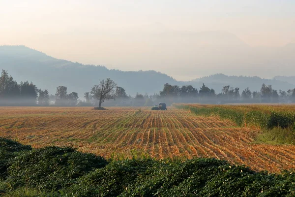 Landscape View Rural Scene Heavy Smoke Hangs Air While Farmer — Stock Photo, Image