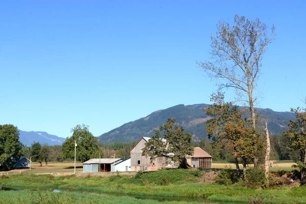 Scenic Countryside Setting Small Creek Running Old Farm Buildings Rolling — Stock Photo, Image