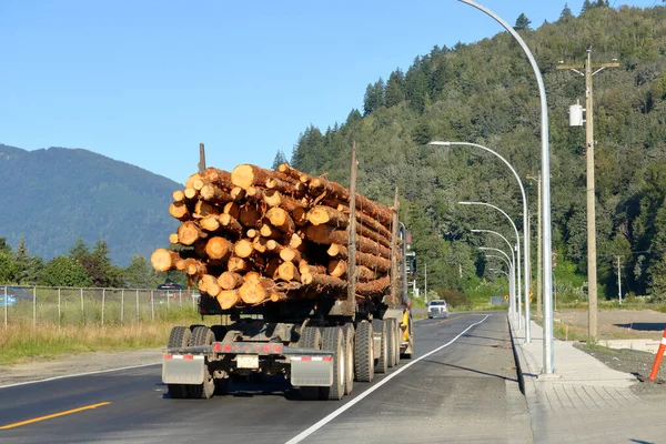 Vista Completa Parte Trás Caminhão Madeira Embalado Com Árvores Cedro — Fotografia de Stock