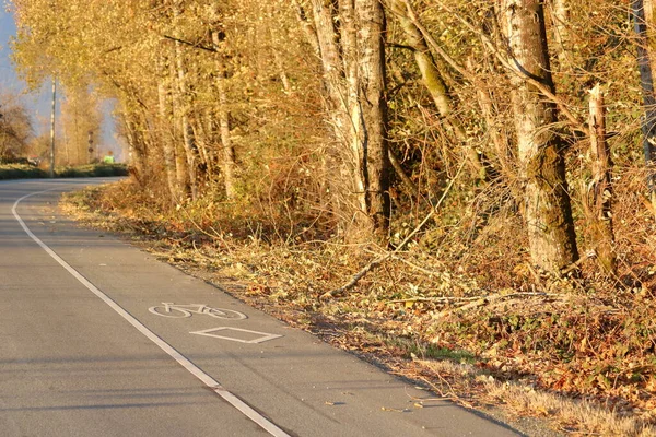 Lehulló Lombozat Kerékpársávon Kerékpárral Járó Veszélyek — Stock Fotó