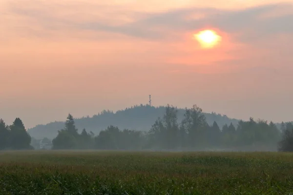 Nascer Sol Sinistro Vale Envolto Fumaça Incêndios Florestais Nas Proximidades — Fotografia de Stock