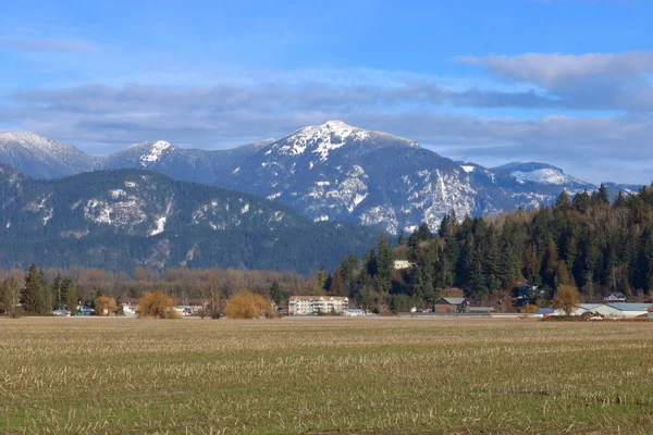 Beautiful Fraser Valley Southern British Columbia Seen Winter Months Local — Stock Photo, Image