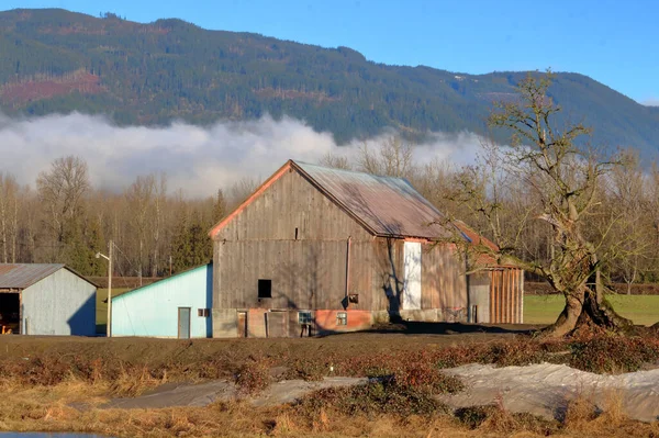 Still Standing Turn Century Canadian Barn Still Stands Edge Mountain — Stock Photo, Image