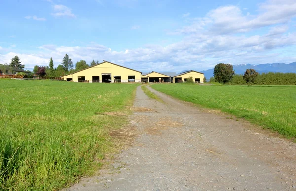 Landscape View Entrance Farm Modern Yellow Farm Buildings Grouped End — Stock Photo, Image