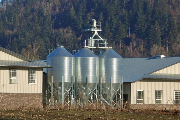 三座巨大的 银色的 现代化的粮仓矗立在农场建筑之间 视野开阔 — 图库照片