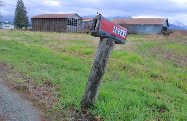 一个逝去的时代 一个仍然屹立在数字时代的老式农村信箱 — 图库照片