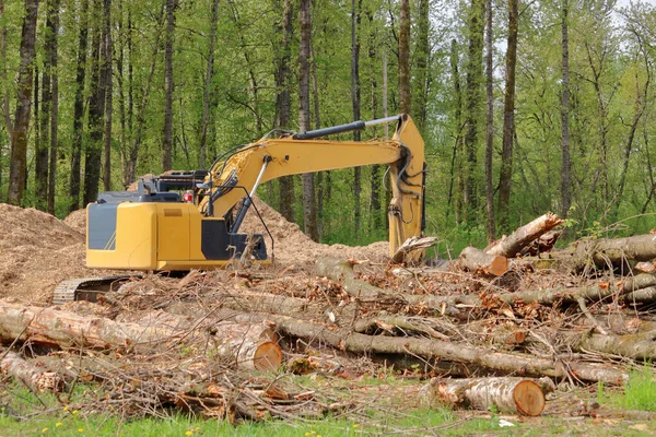 Průmyslový Jeřáb Používá Vymýcení Lesa Vytvoření Prostoru Pro Rozvoj — Stock fotografie