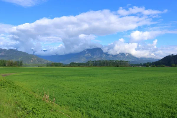Wide Landscape View Rural Grassland Growing Valley Springtime — Stock Photo, Image