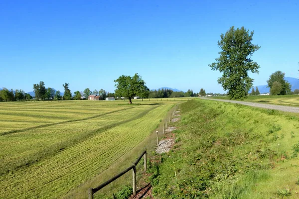 Wide Landscape View Rural Setting Dike Protects Grassland Farm Buildings — Stock Photo, Image