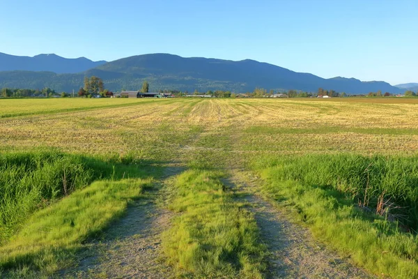 Wide Landscape View Entrance Valley Grassland Surrounding Rolling Mountain Range — Stock Photo, Image