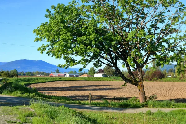 在春季的几个月里 一个美丽的农场环境的广阔的景观 — 图库照片