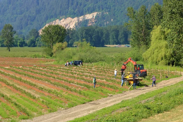 Vista Ampla Paisagem Aberta Trabalhadores Agrícolas Máquinas Que Eles Usam — Fotografia de Stock