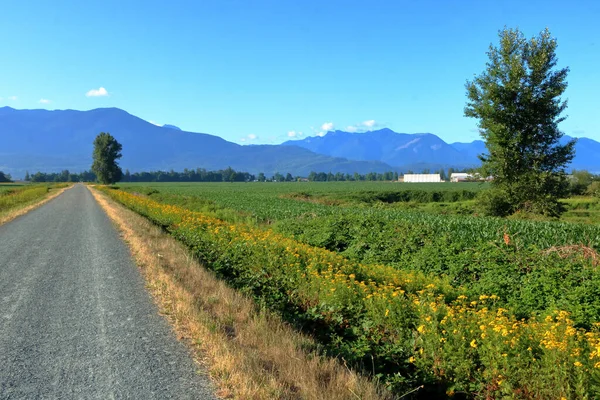 Amplia Vista Camino Público Sur Columbia Británica Canadá Que También —  Fotos de Stock