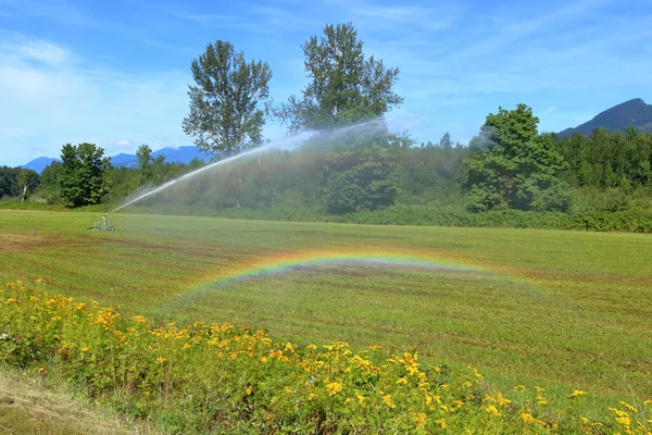 农田上的灌溉和水散落在一道彩虹上 象征着干旱干旱时期的希望 — 图库照片