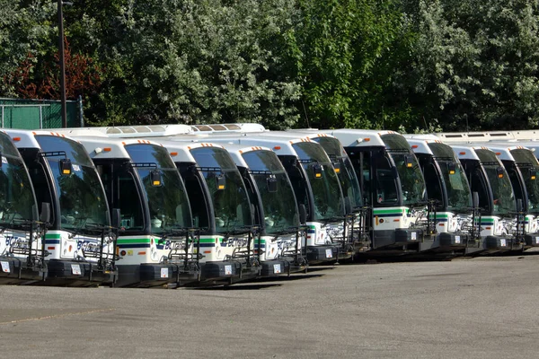 Транзитные Автобусы Британской Колумбии Припаркованы Чилиуаке Британская Колумбия Октября 2023 Стоковое Фото