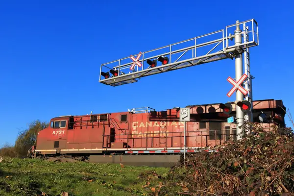 Вид Низкого Угла Канадский Тихоокеанский Поезд Пересечение Поезда Огнями Повреждениями Лицензионные Стоковые Фото