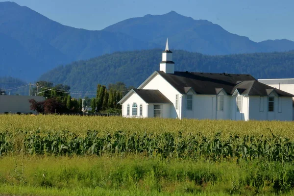 Маленькая Белая Христианская Церковь Сельской Местности Окруженная Кукурузными Полями Горами Лицензионные Стоковые Изображения