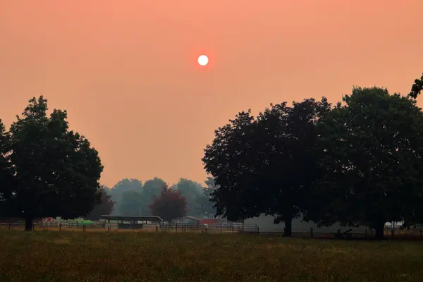 Zářící Slunce Rozptýleno Kouřovou Oblohou Během Divokých Požárů Během Suchých Stock Obrázky