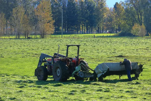 Hårt Arbetande Jordbrukare Justerar Utrustningen Vid Skörd Gräsmark Stockfoto