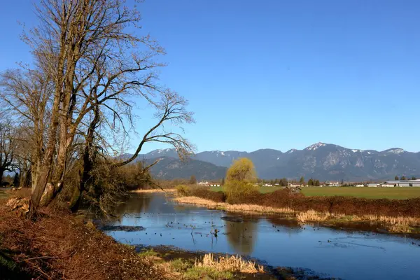 Широкий Обзор Извилистого Ручья Долине Течение Весеннего Сезона Лицензионные Стоковые Изображения