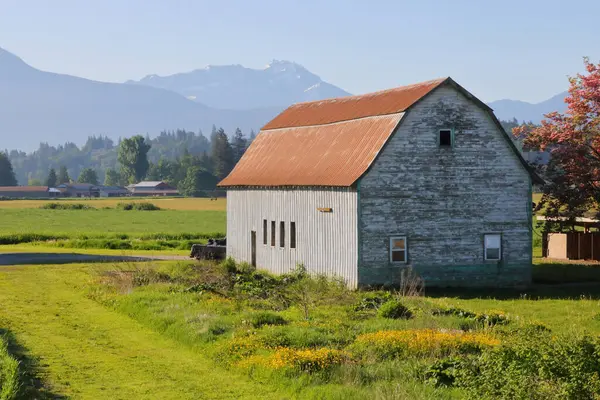 春季的几个月里 一个年久失修的加拿大谷仓俯瞰草原 全景四分之三的全景 图库图片