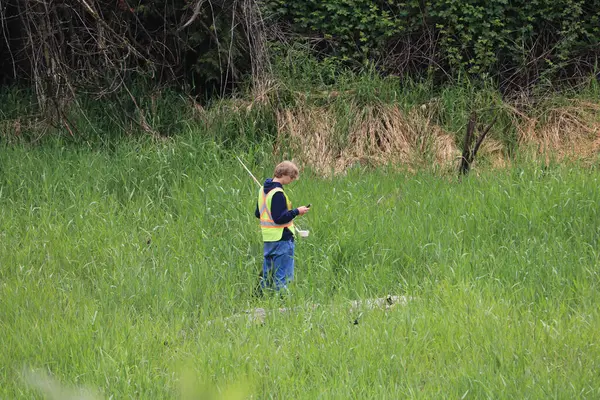 stock image A biologist is seen with his equipment checking for mosquito larvae while standing in a bog near Rosedale, BC, Canada on May 30, 2024.  