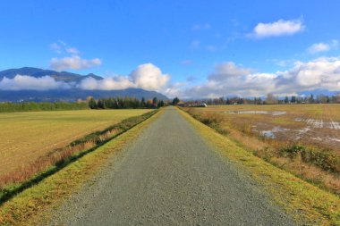 Landscape view of a straight and narrow dike that is used to protect farm land against flooding.  clipart