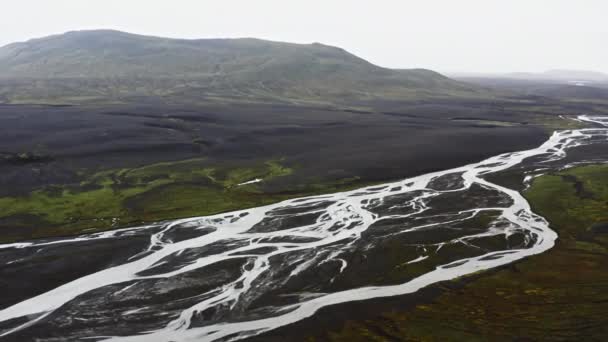 Drone Braided River Estuary Iceland — стокове відео