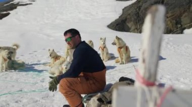 Husky, Kızak Köpeği, Kar, Kızak, Sürücü